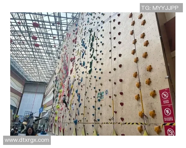 攀岩新手必看：全面解析攀岩技巧与安全意识的入门指南